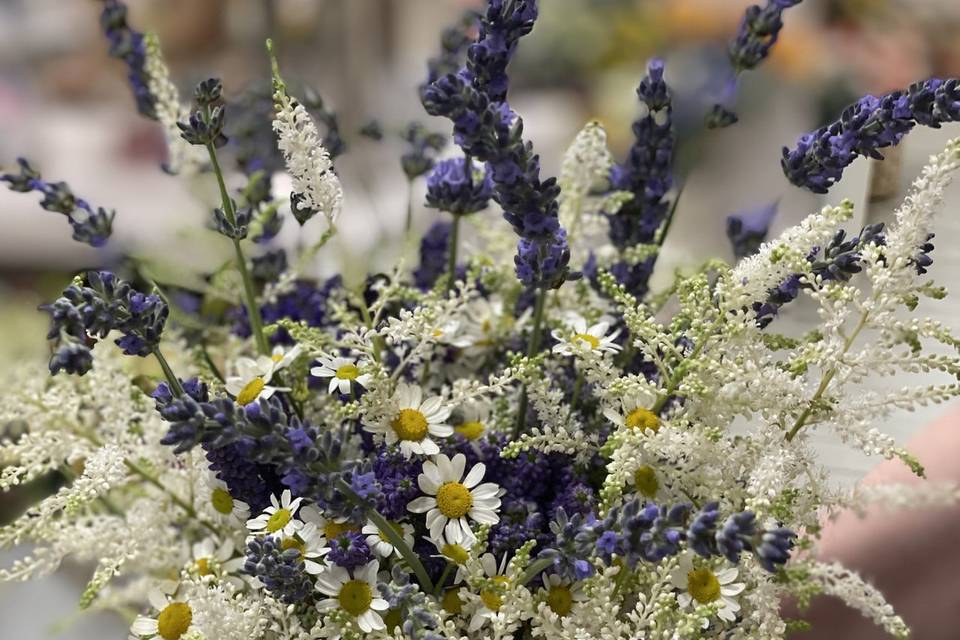 Fiori di campo