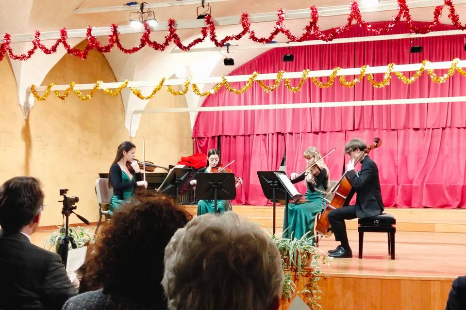 Musica live