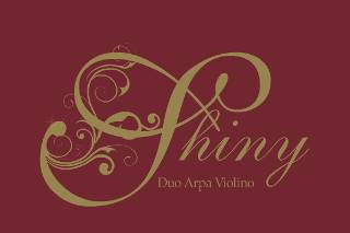 Shiny Duo Arpa Violino