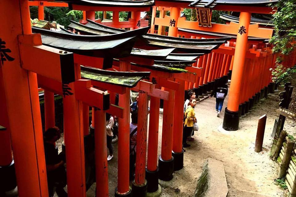 I love fushimi inari