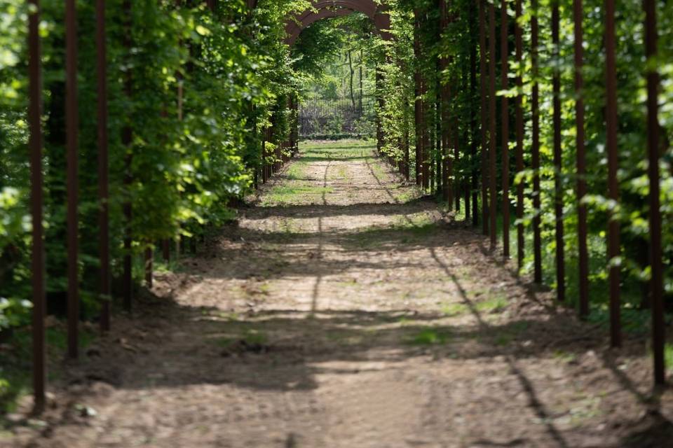 Villa Arconati
