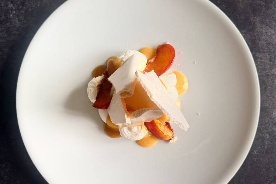 Pavlova rivisitata