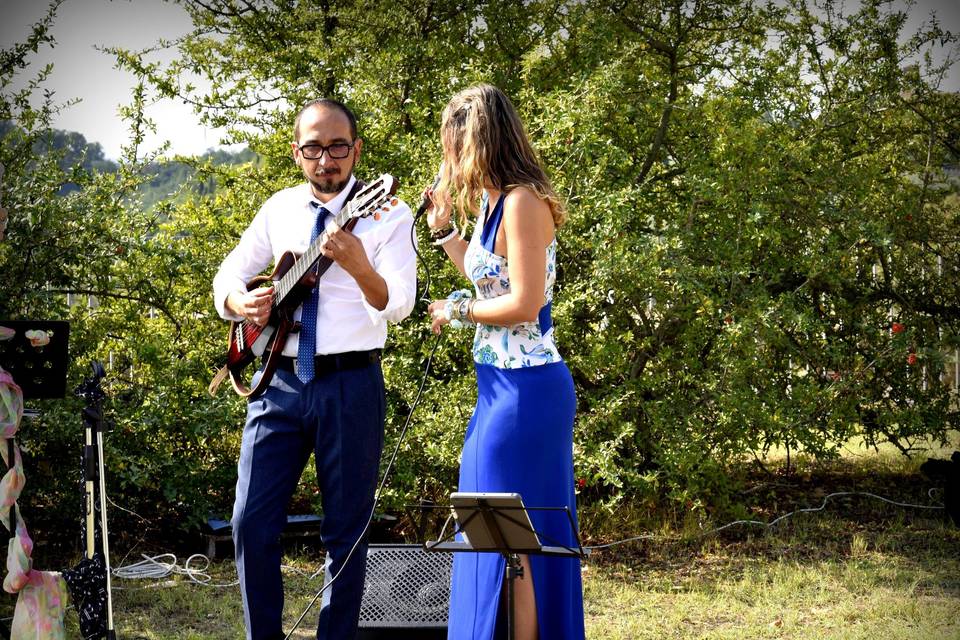 Serena Berneschi & The Wedding Guests