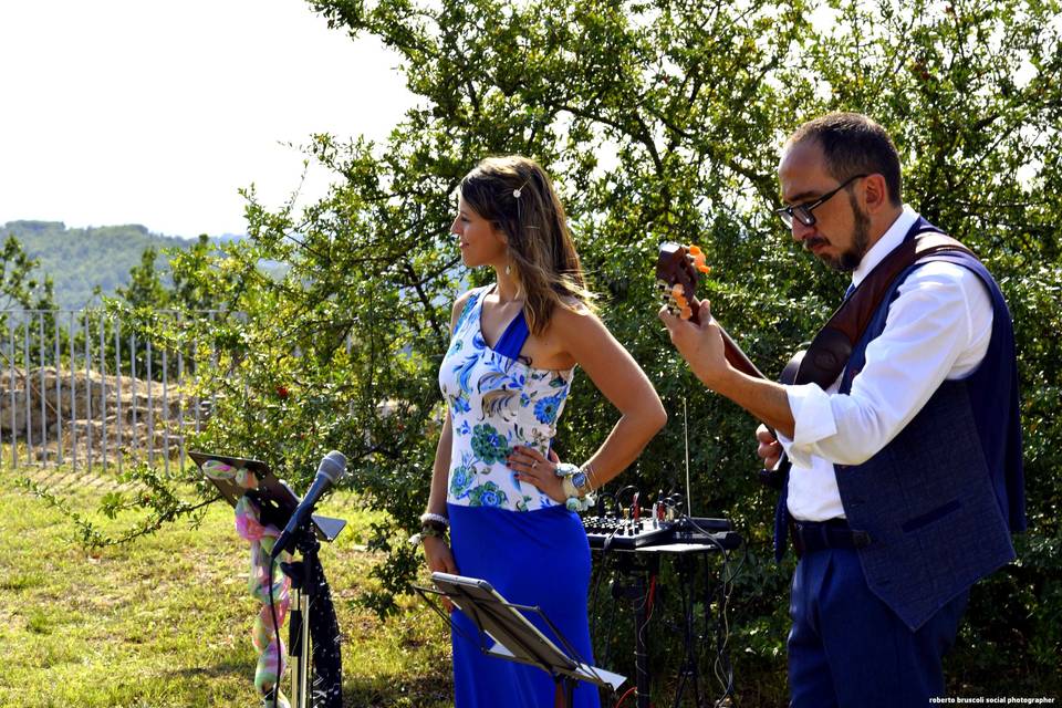 Serena Berneschi & The Wedding Guests