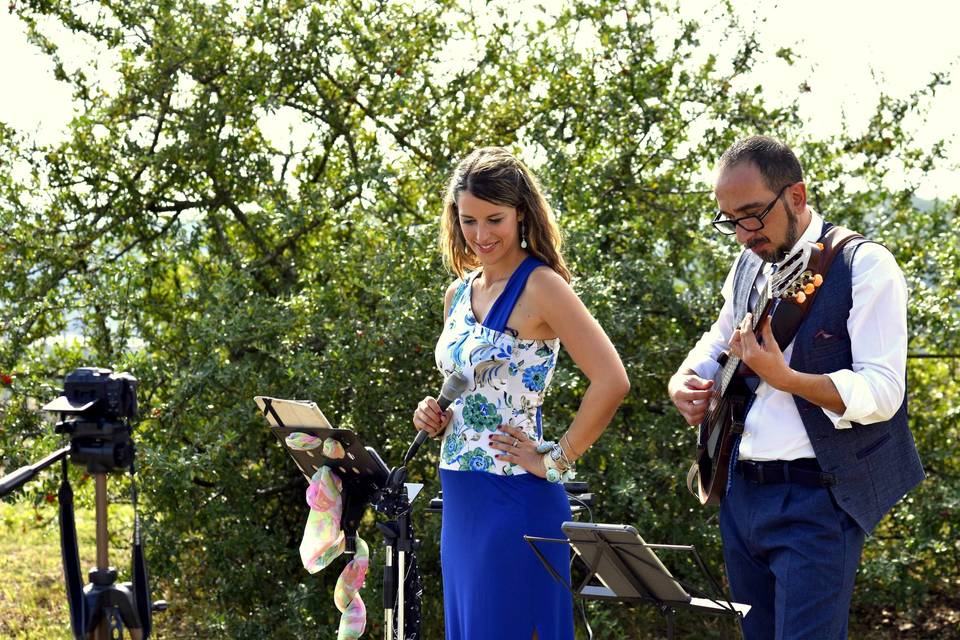 Serena Berneschi & The Wedding Guests