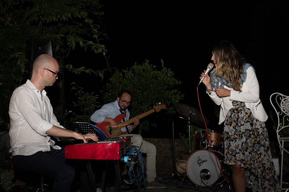 Serena Berneschi & The Wedding Guests