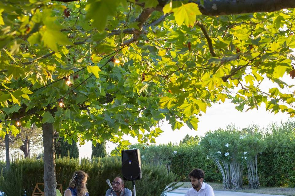 Portovenere live wedding