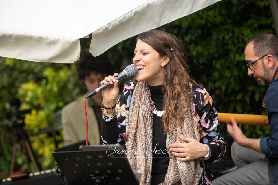 Serena Berneschi & The Wedding Guests