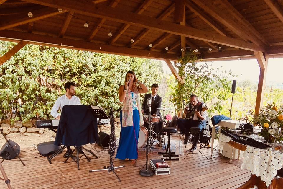 Serena Berneschi & The Wedding Guests