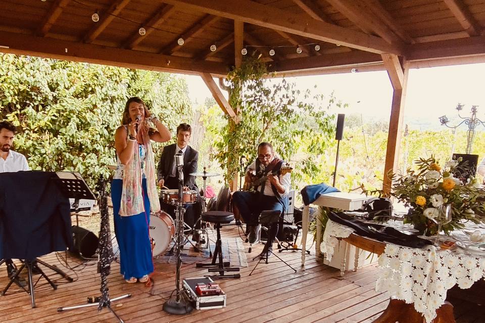 Serena Berneschi & The Wedding Guests