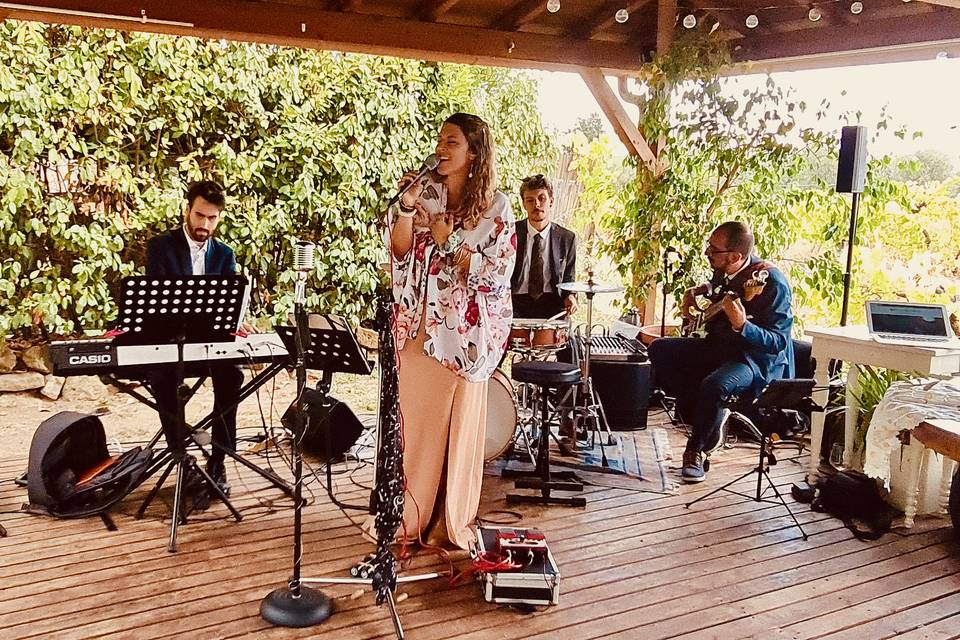 Serena Berneschi & The Wedding Guests