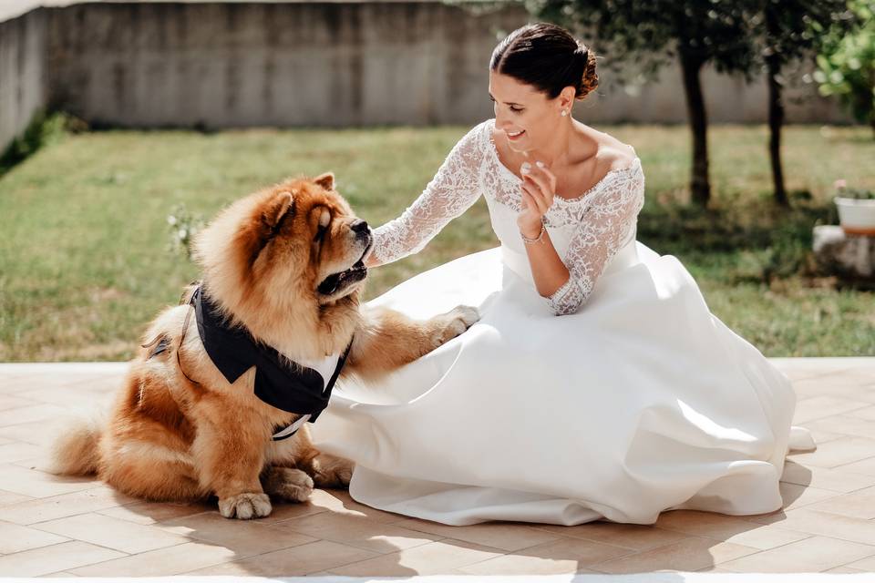 Bride and dog