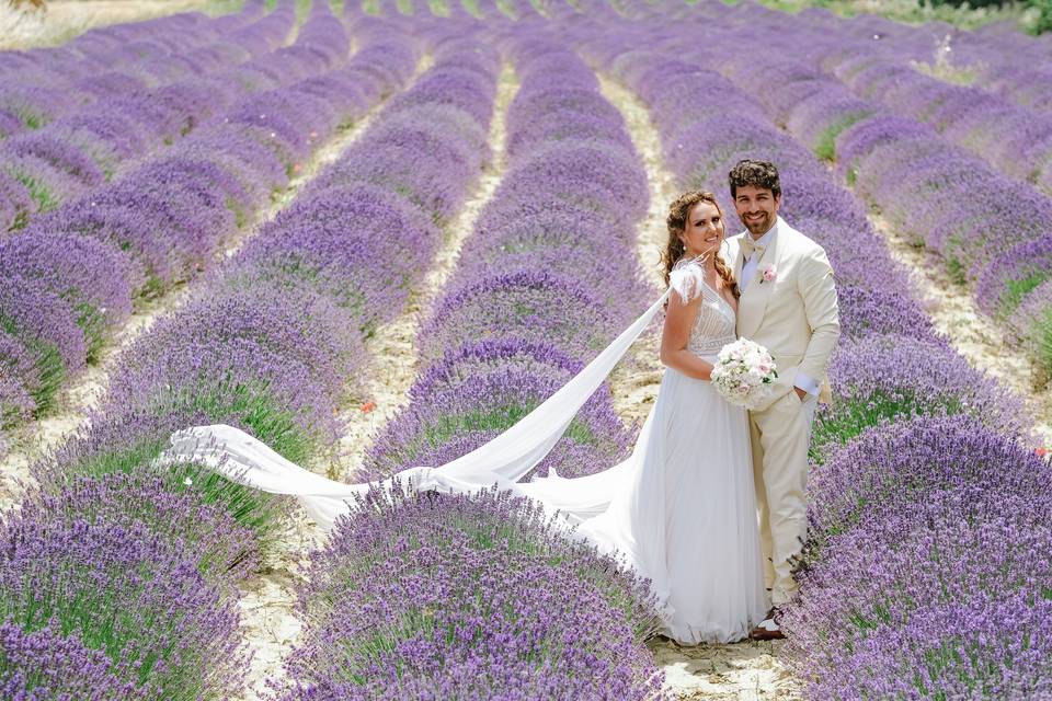 Campi di lavanda