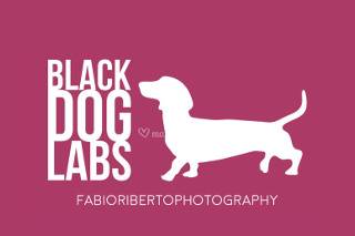 Blackdog labs