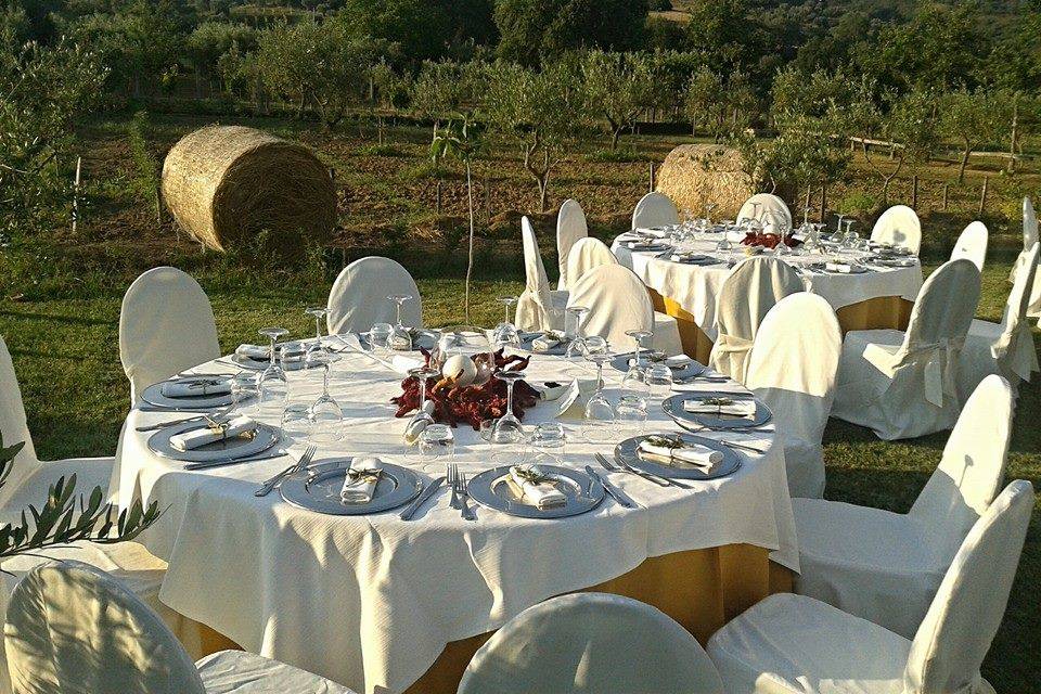 Barbieri Catering