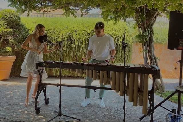 Marimba LIve Show