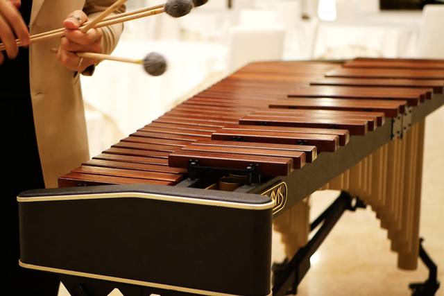 Marimba LIve Show