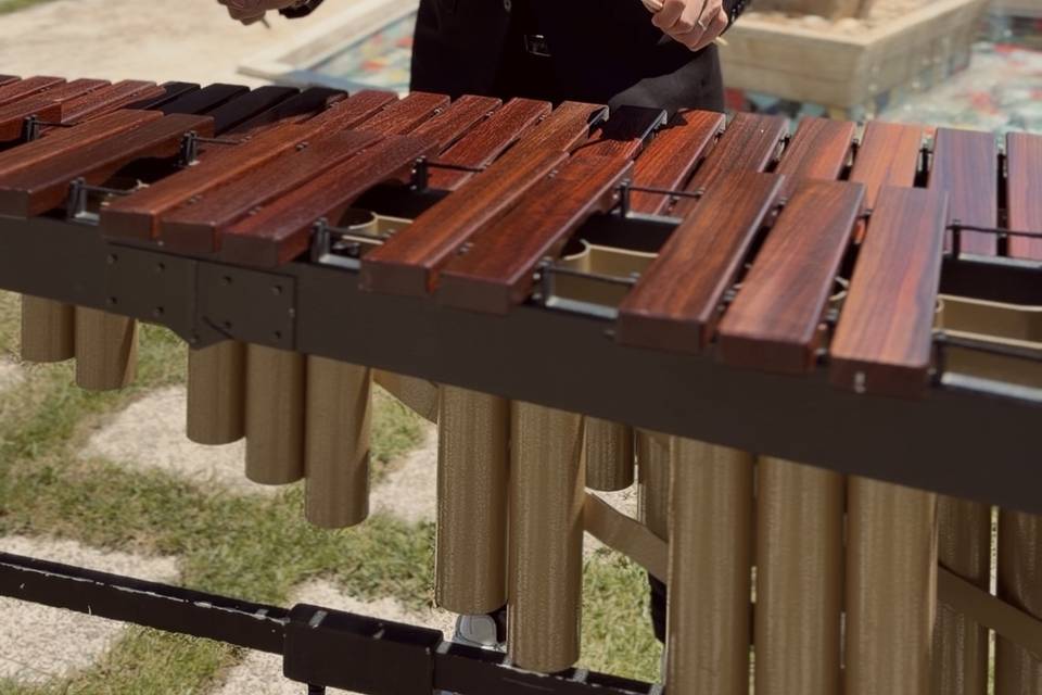 MARIMBA BUFFET INIZIALE