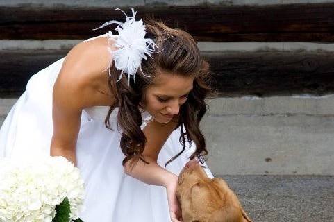 Wedding dog