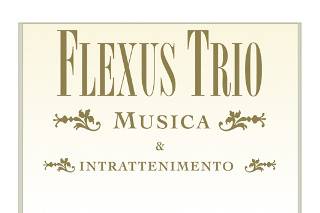 Flexus Trio Entertainers