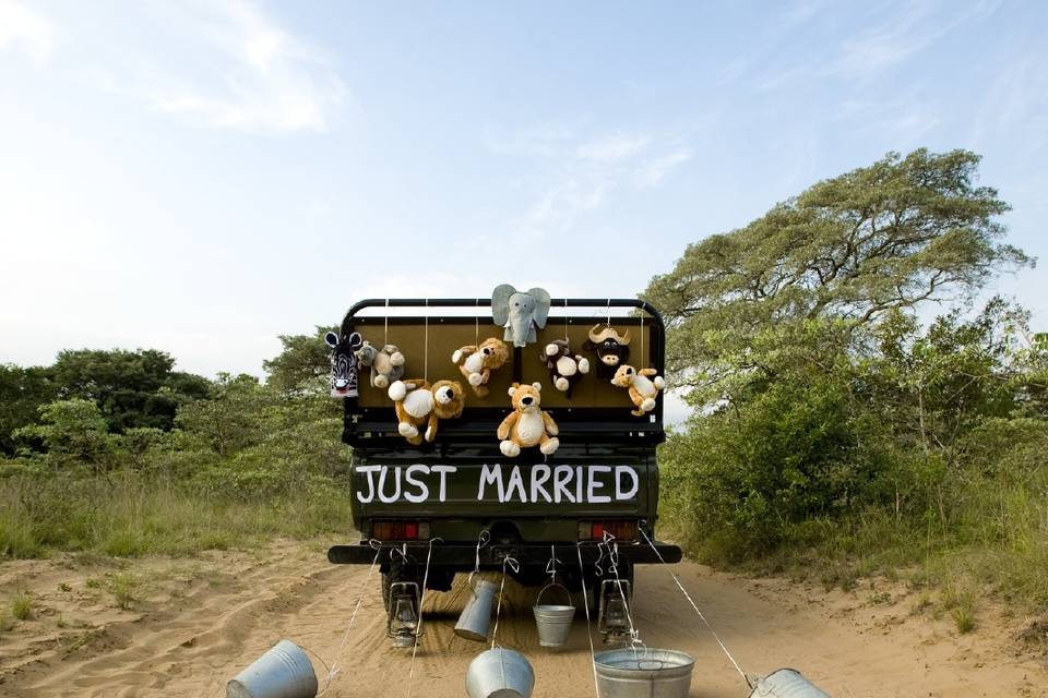 Matrimonio nella savana