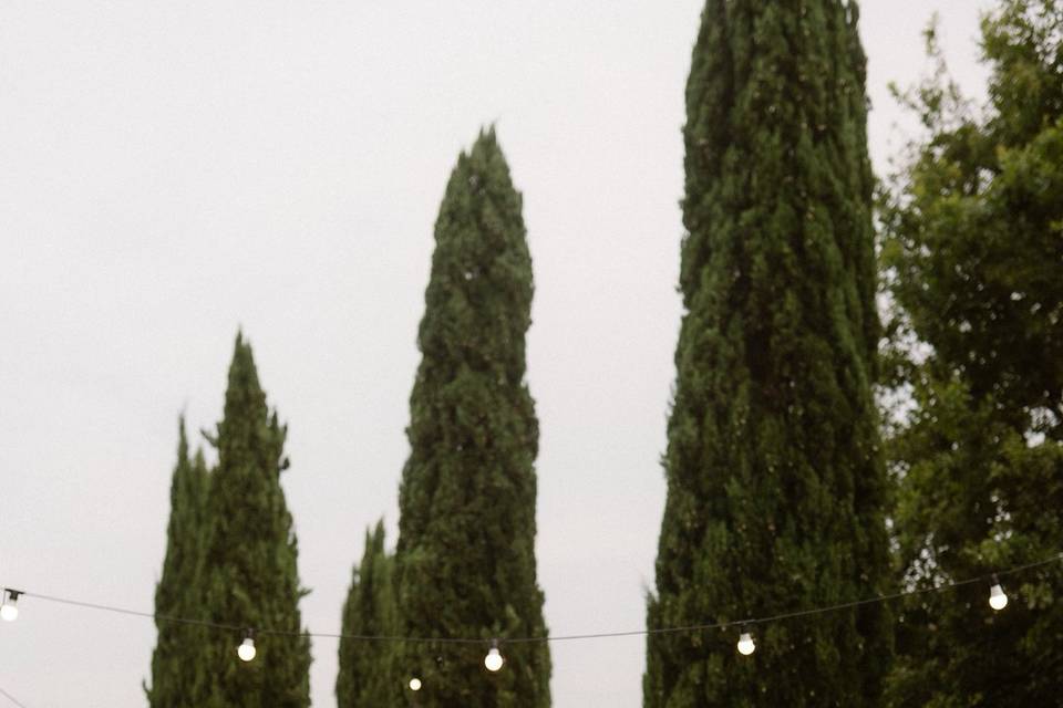 To create special moments