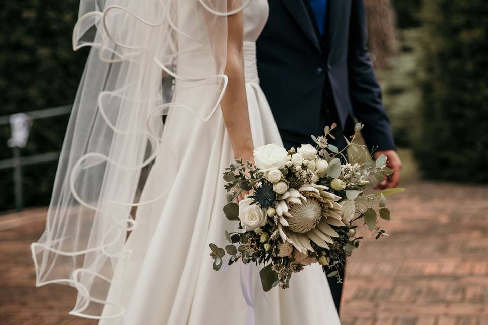 La protea bianca, il bouquet.