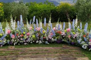 Fior Fiore