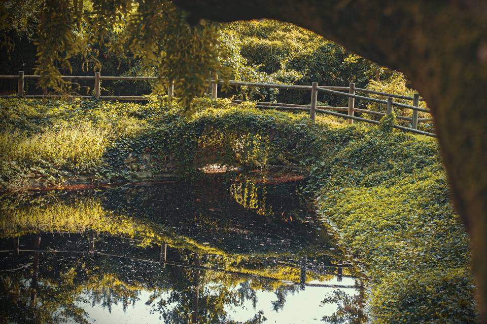 Uno scorcio del secolare parco