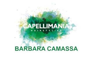 Capellimania Hairstylist di Barbara Camassa