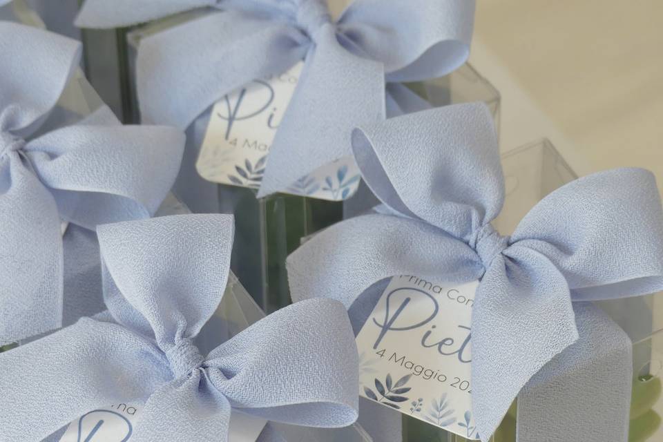Piante succulente + confetti