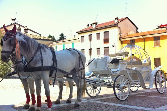 Carrozza Cenerentola