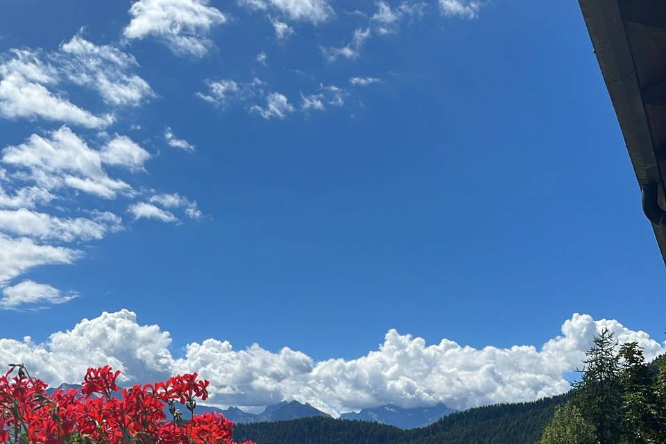 esterno