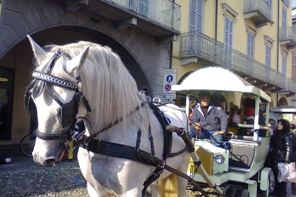 Evento in Piazza