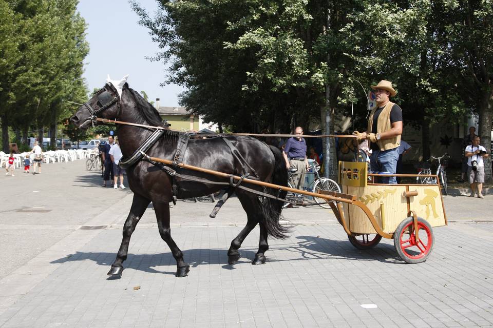 Carrozza Cenerentola