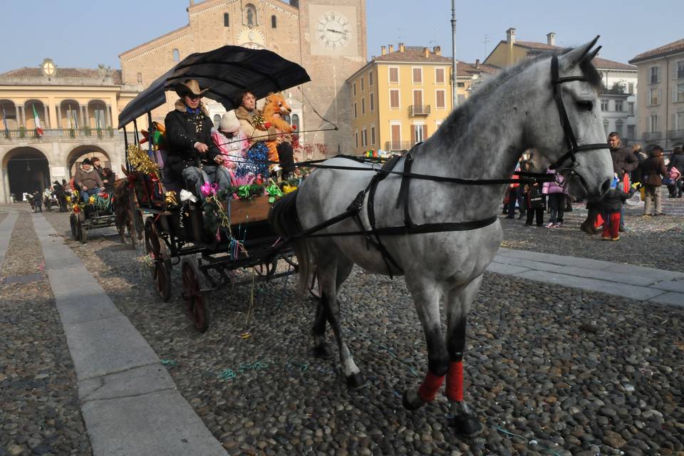 Carrozza Cenerentola