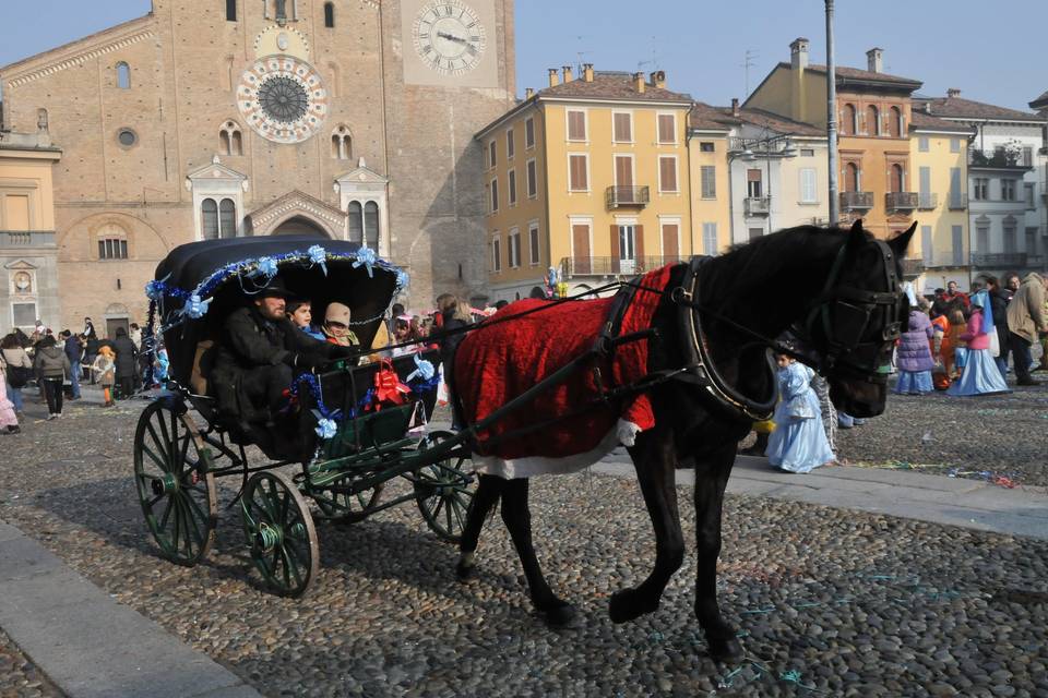 Carrozza Cenerentola