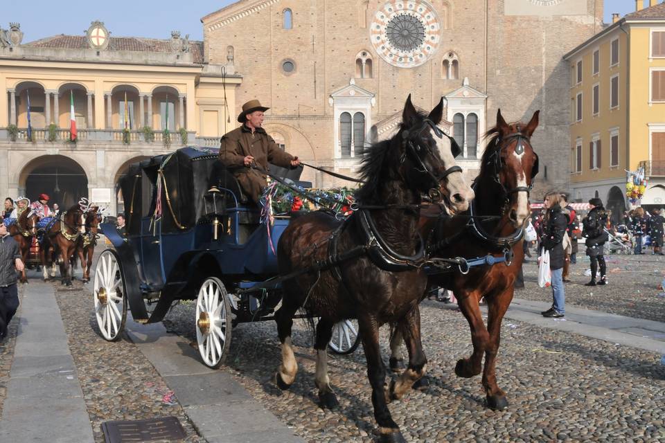 Carrozza Cenerentola