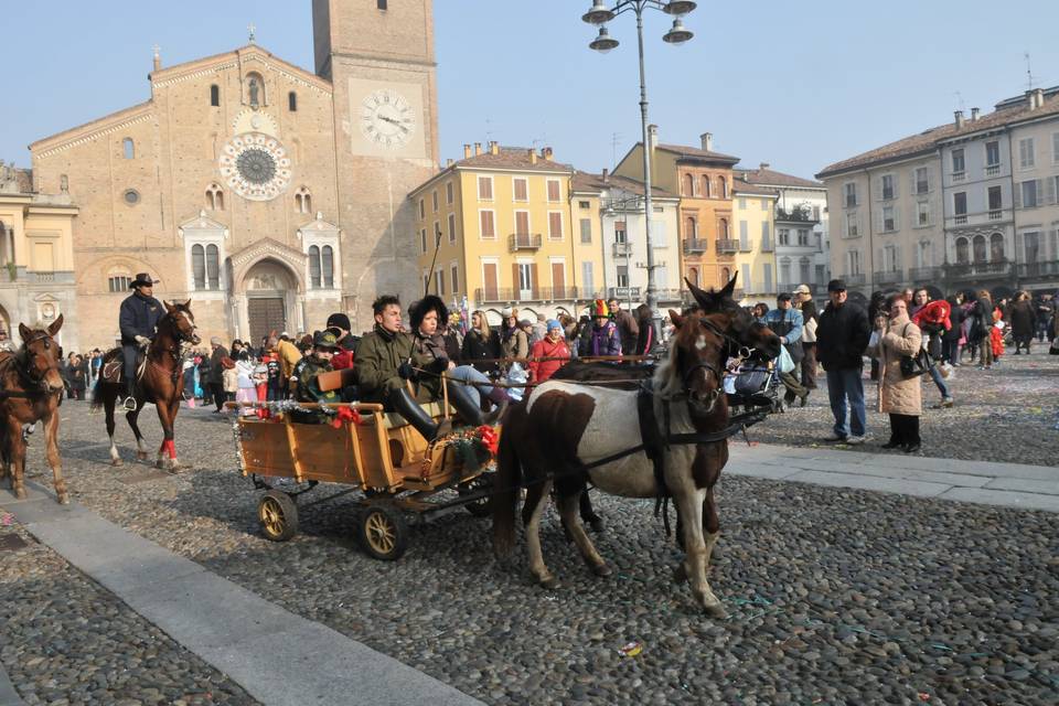 Carrozza Cenerentola