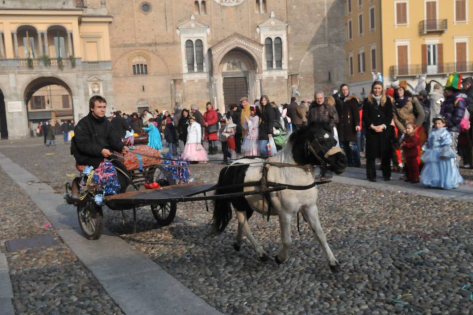 Carrozza Cenerentola