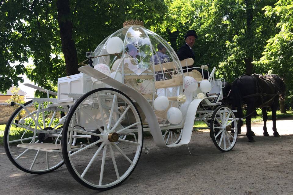 Carrozza di Cenerentola