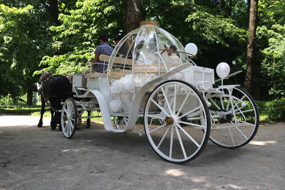 Carrozza Cenerentola