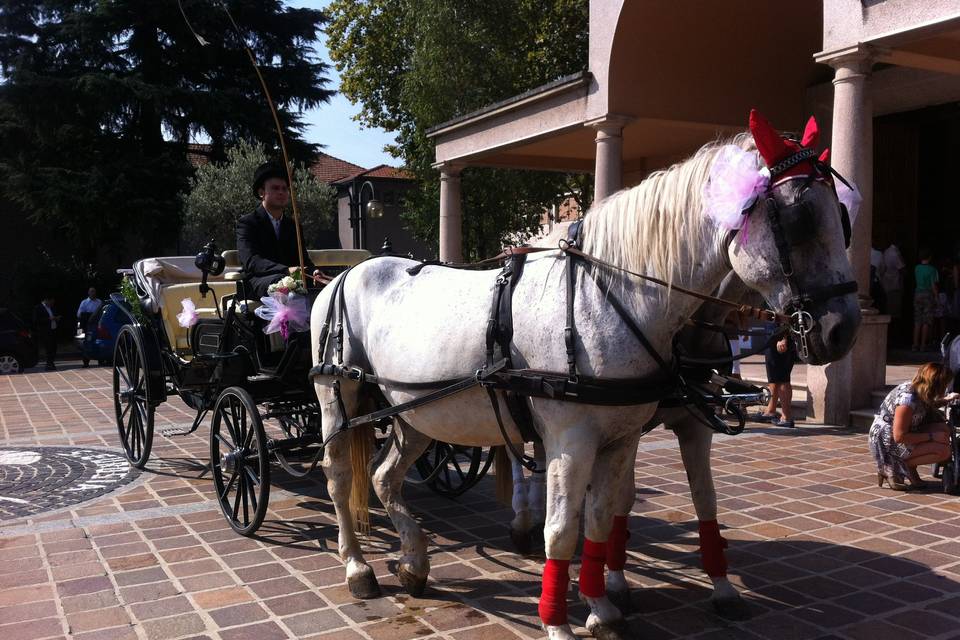 Carrozza Cenerentola