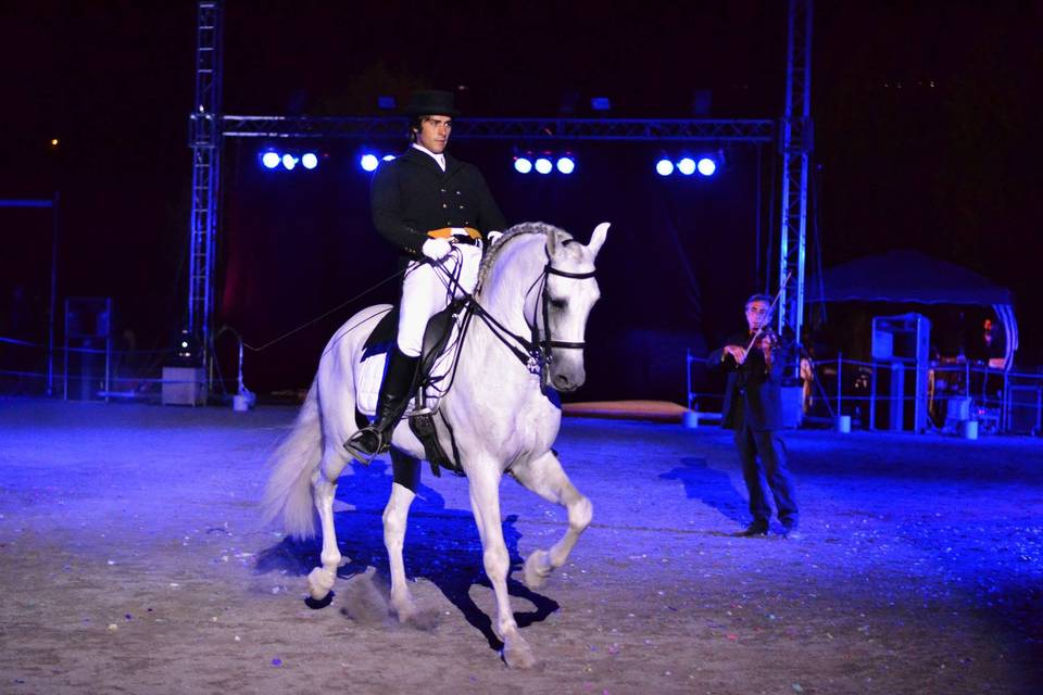 Spettacolo equestre