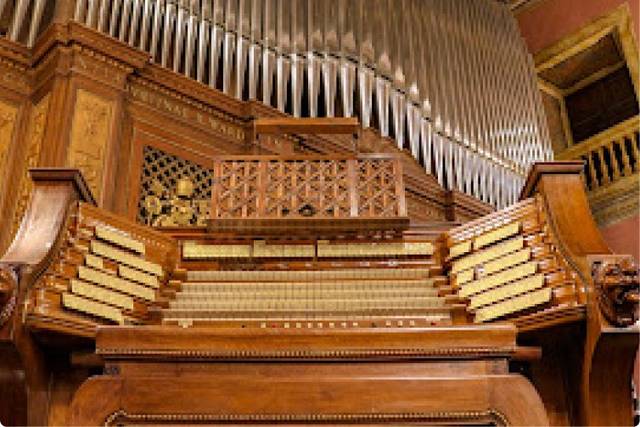 Organista