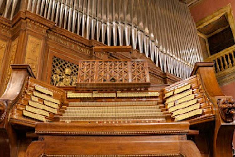 Organista