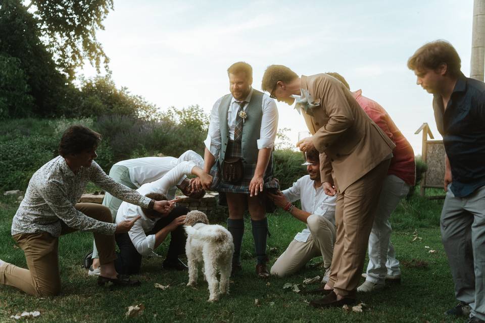 Tiny weddings