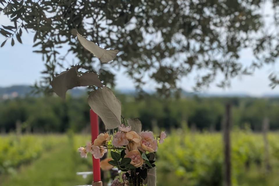 Tavolo sotto gli ulivi