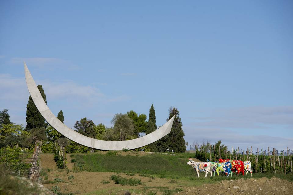 Tenuta Biodinamica Mara