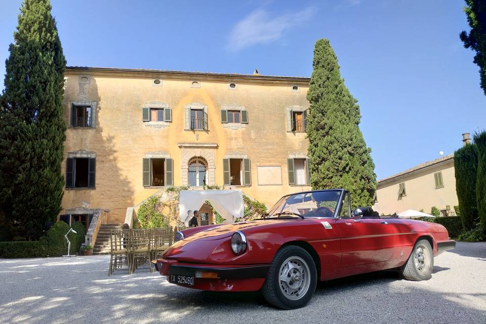 Alfa spider